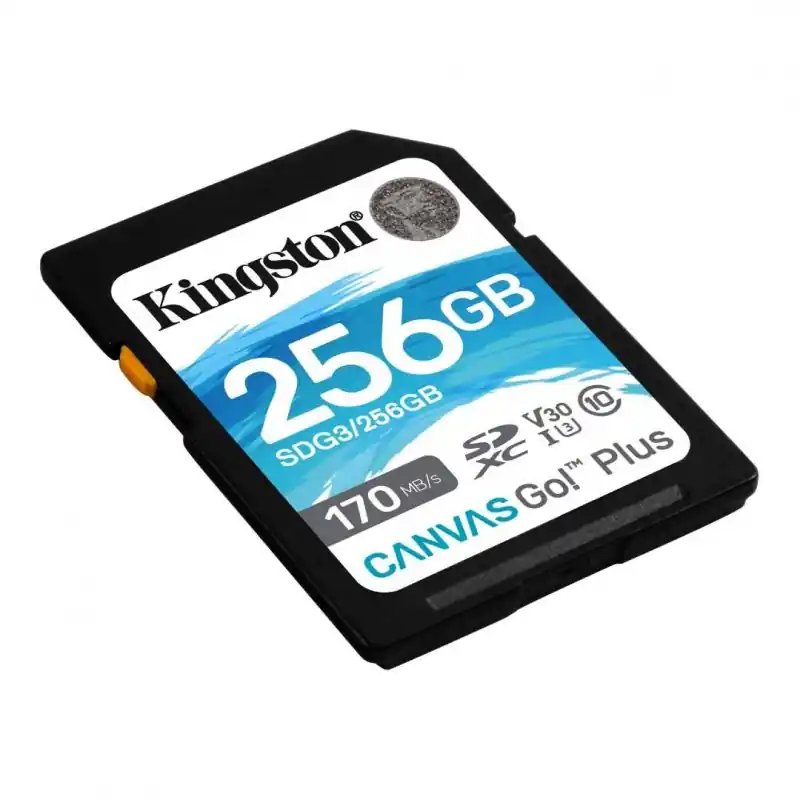 Card de Memorie SDXC Kingston Canvas GO Plus, 256GB, Class 10 Doar azi