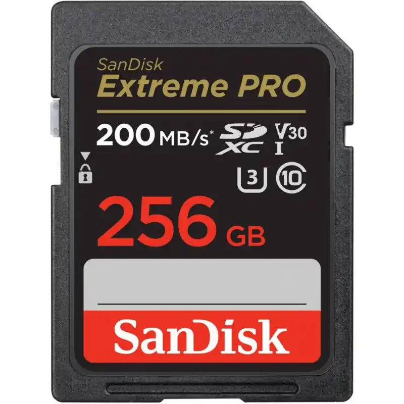 Card de Memorie SDXC SanDisk, 256GB, Clasa 10, Reading speed: 90MB/s Ultima șansă
