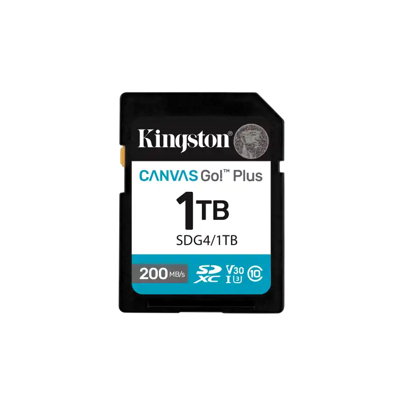 Card de Memorie SD Kingston Canvas GO Plus CL 10 Comandă acum