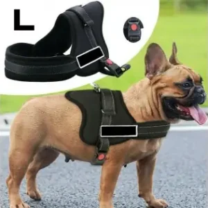 Ofertă de sezon Ham Pentru Caini Senior Dog L (70 - 90Cm)
