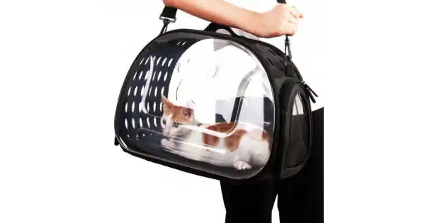 Ofertă exclusivă Geanta De Transport Pentru Caine Sau Pisica Negru - Transparent Ag644L