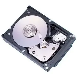 Ultima șansă Hard Disk Server 9 GB SCSI Hot Plug