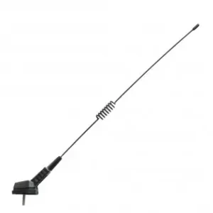 Transport gratuit Antena PaVIlion Cu Arc