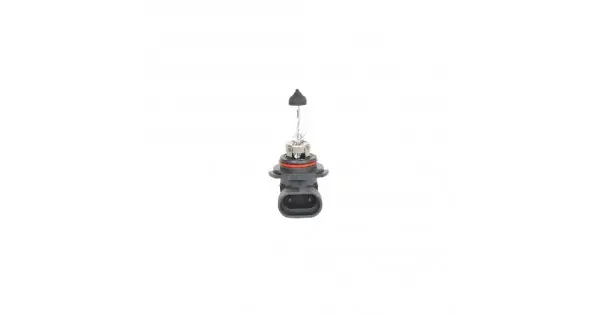 Ofertă de sezon Bec 12V Hb4 51W Pure Light Bosch