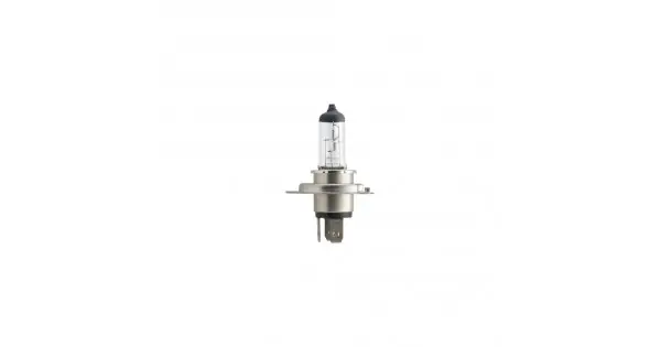 Bec Far H4 60/55W 12V Longer Life EcoVIsion Philips Expediere rapidă