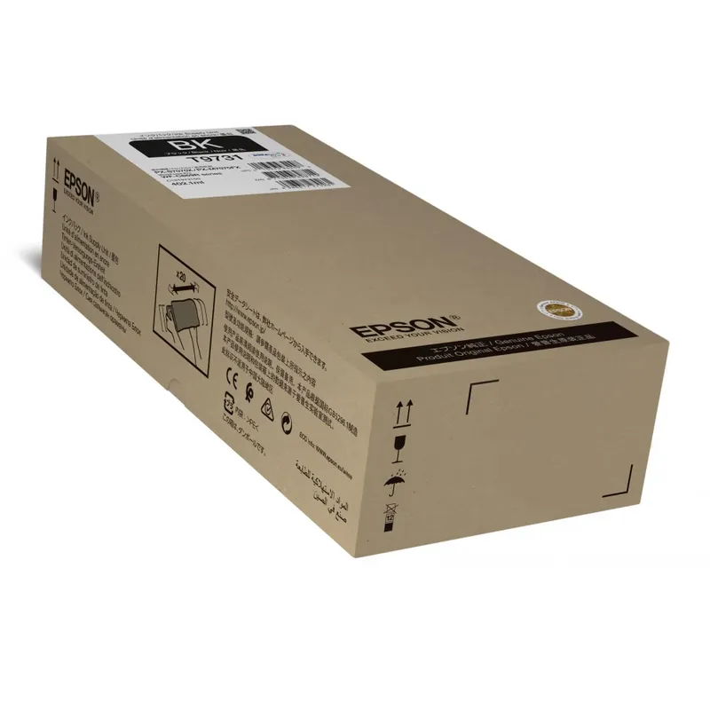 Ofertă exclusivă EPSON T97310N ORIGINAL
